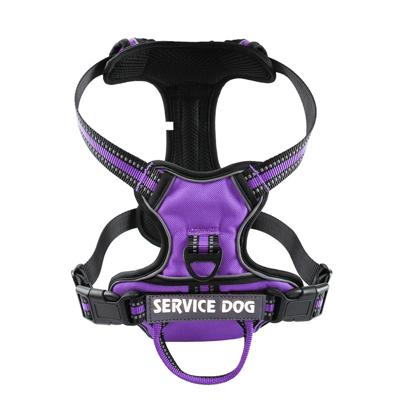 Y-Shape Personalised Harness
