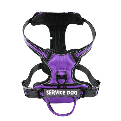 Y-Shape Personalised Harness