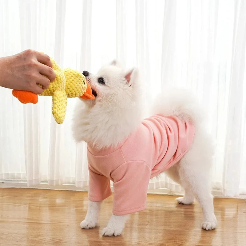 PlushDuckie Toy