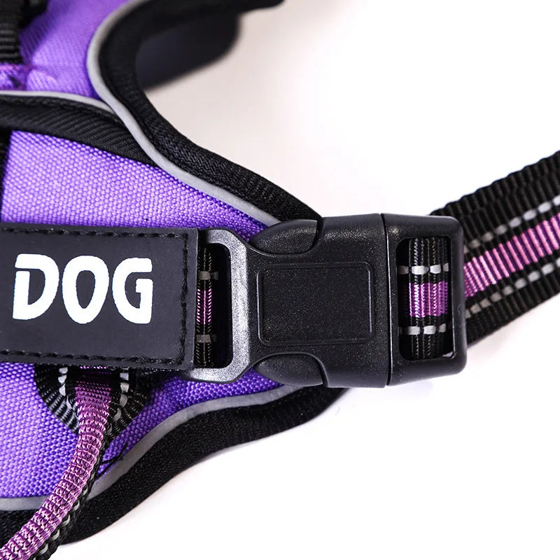 Y-Shape Personalised Harness