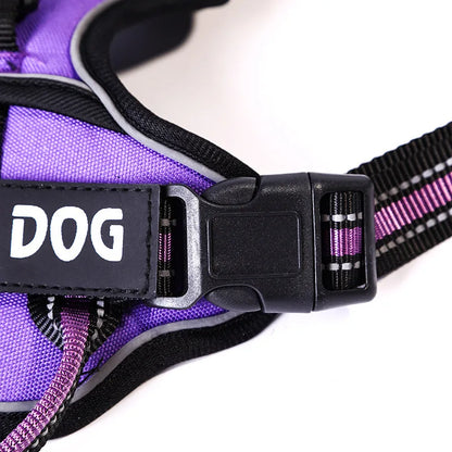 Y-Shape Personalised Harness