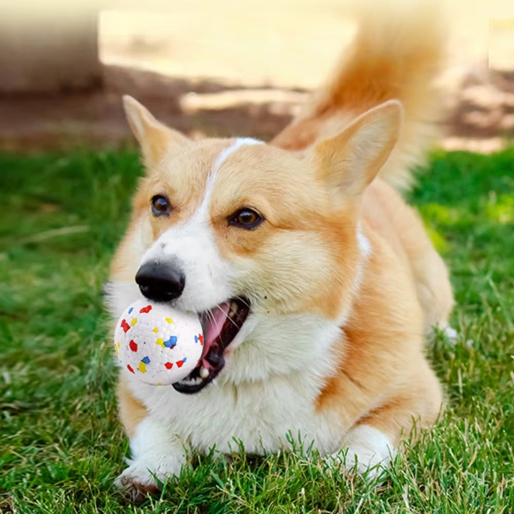 BounceBite Dog Ball