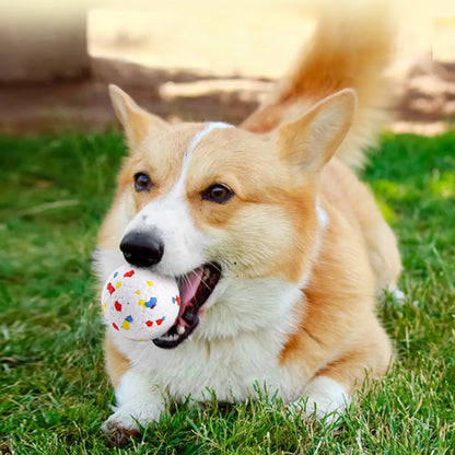 BounceBite Dog Ball
