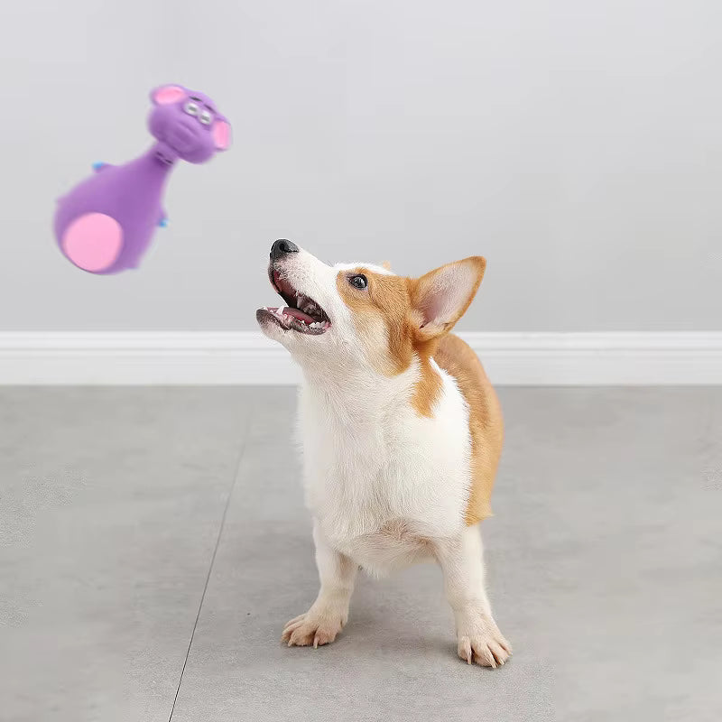 EcoSqueak Dental Chew