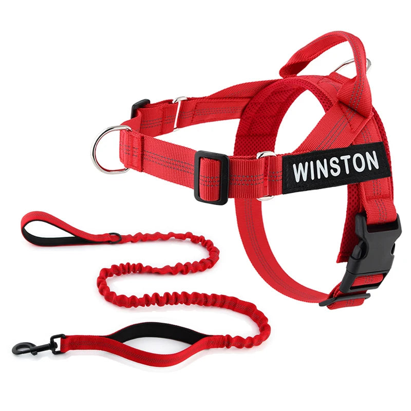 Personalized No-Pull Dog Harness