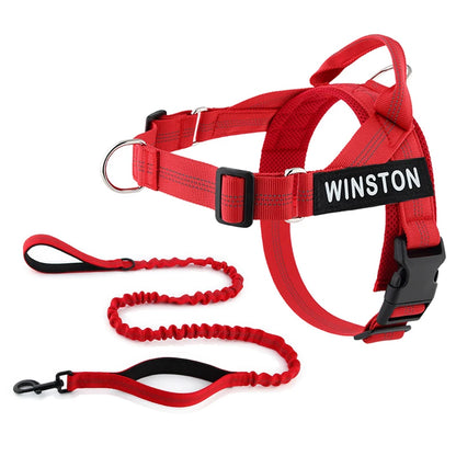 Personalized No-Pull Dog Harness
