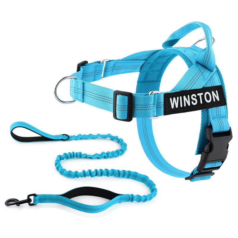 Personalized No-Pull Dog Harness