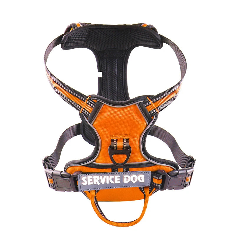 Y-Shape Personalised Harness
