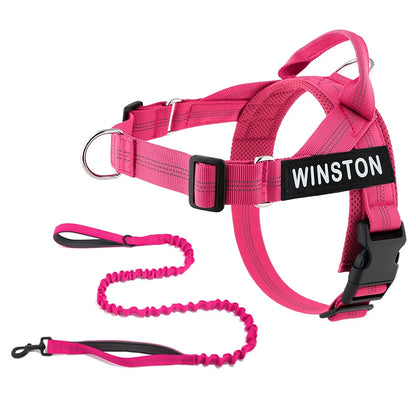 Personalized No-Pull Dog Harness