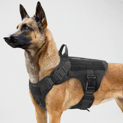 K9 Commando - Tactical Dog Harness & Leash Set