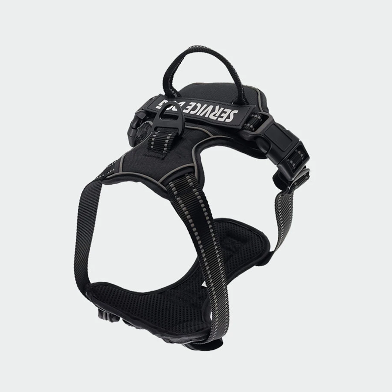 Y-Shape Personalised Harness