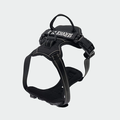 Y-Shape Personalised Harness