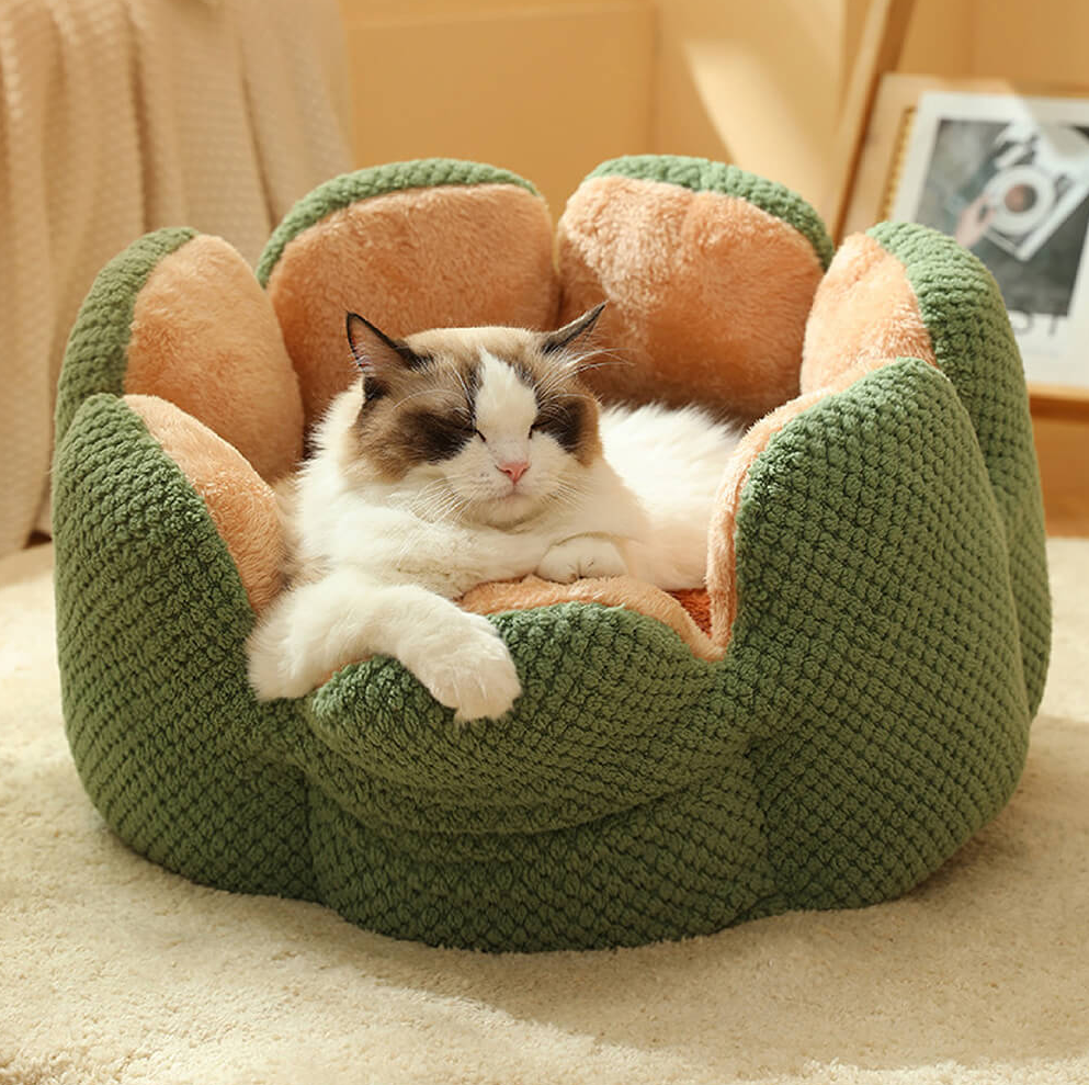 CozyBloom Cat Bed