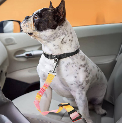 TravelSafe Pet Seat Belt