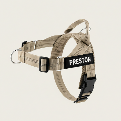 Personalized No-Pull Dog Harness