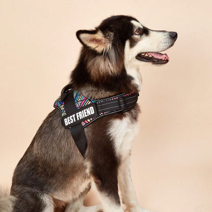PerfectFit Custom No-Pull Harness