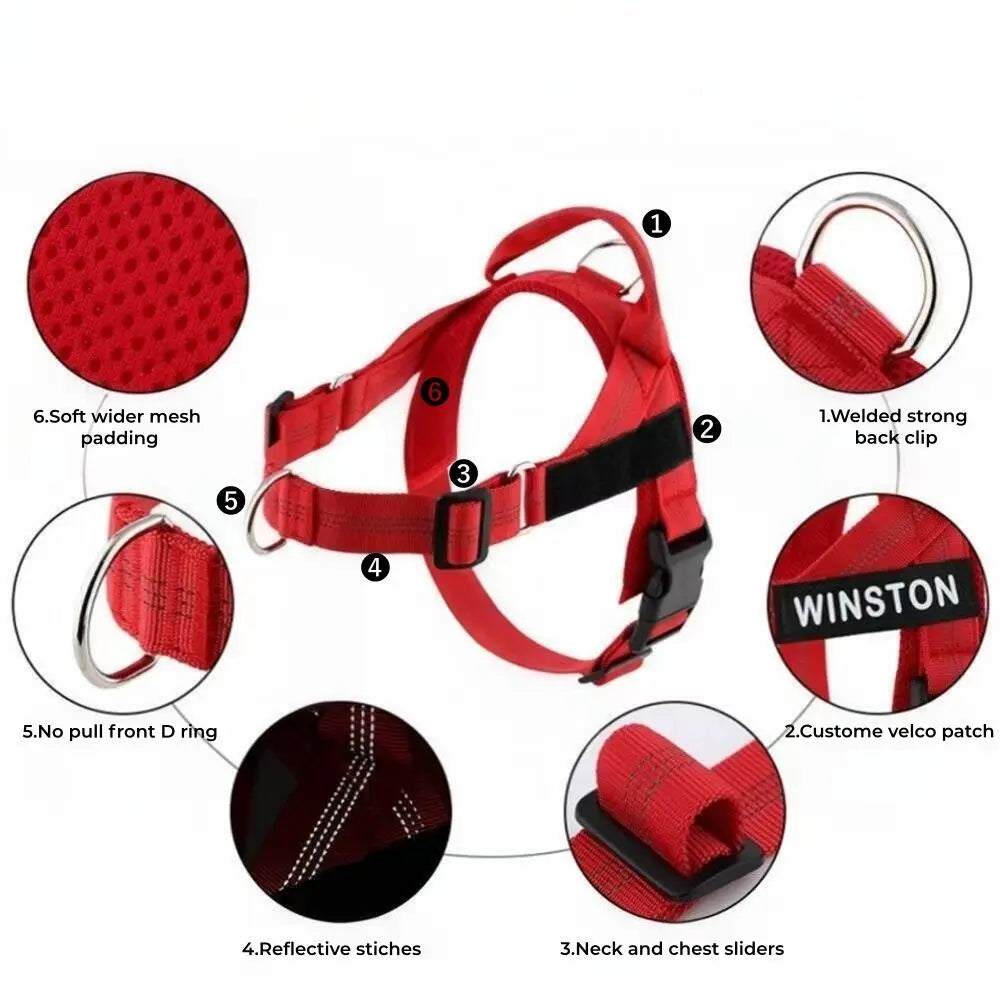 Personalized No-Pull Dog Harness