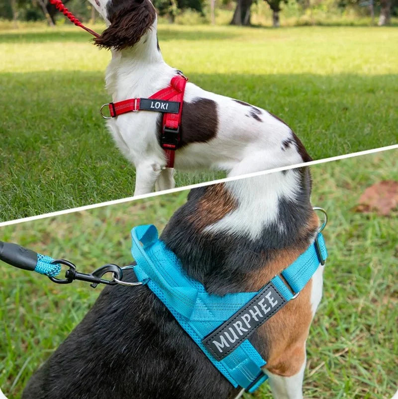 Personalized No-Pull Dog Harness