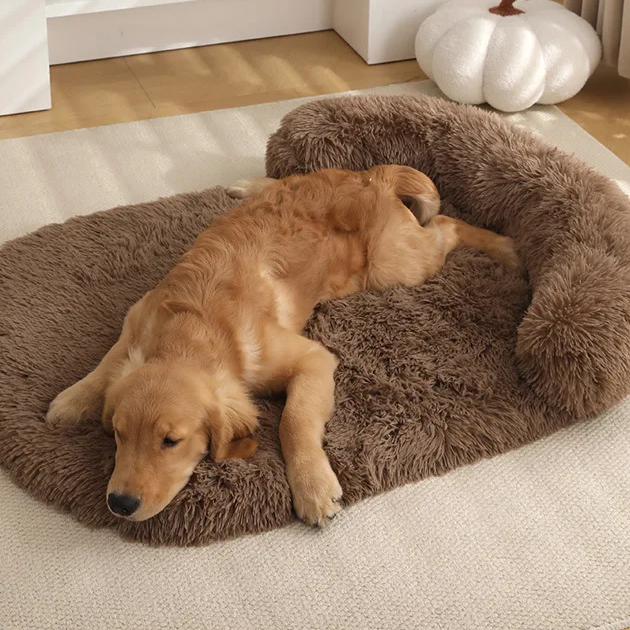 Premium CalmNest 2.0