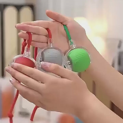 ChaseBuddy Smart Ball