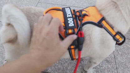 Y-Shape Personalised Harness