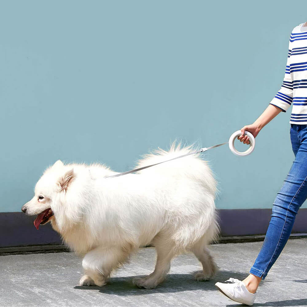Moestar Smart Dog Leash 2.0