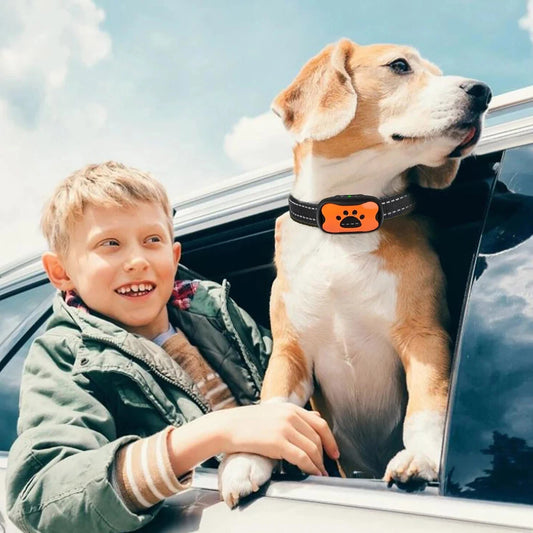 SmartBark - Anti Barking Collar