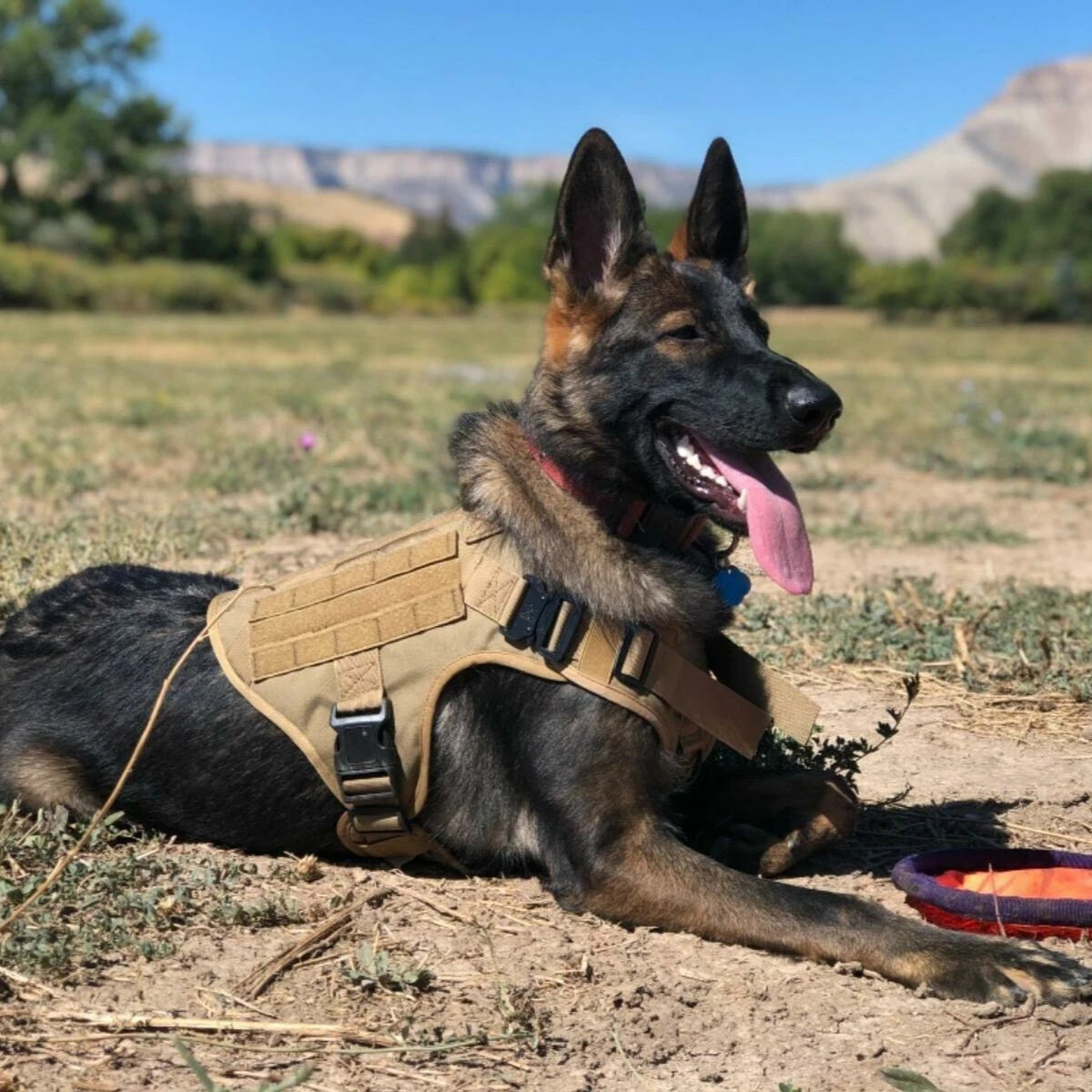 K9 Commando - Tactical Dog Harness & Leash Set