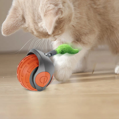 Twisty Tail Ball
