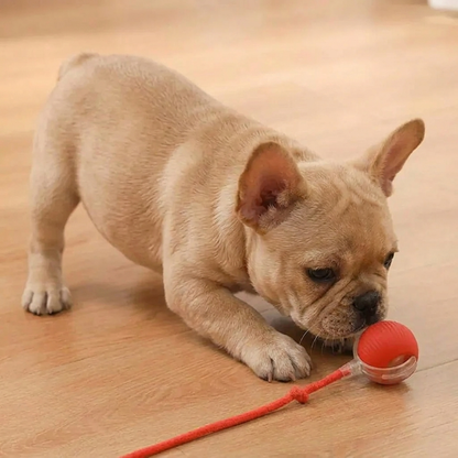 ChaseBuddy Smart Ball